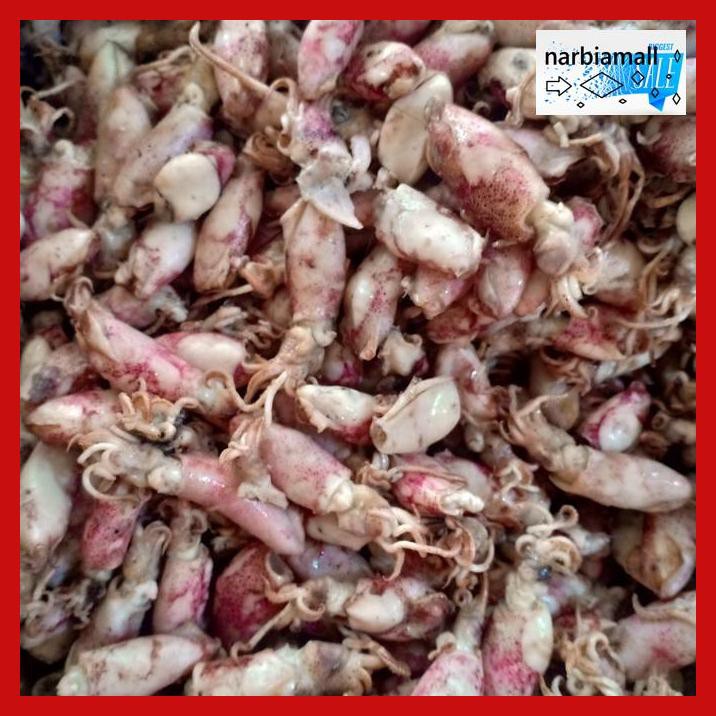 

U8Tyuj7- Ikan Asin Baby Cumi Bk Per 500Gram E4Wr46-