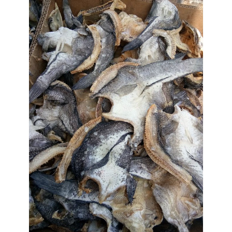 

Jual ikan asin Gabus fresh