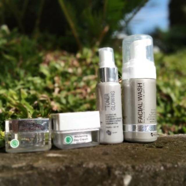 Paket Wajah MS Glow / paket whitening, acne , ultimate luminous ms glow free pouch lengkap ori