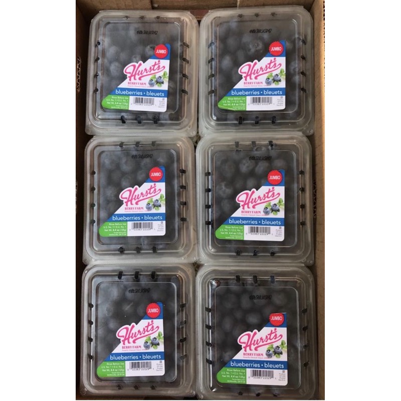 

buahblueberryUSA