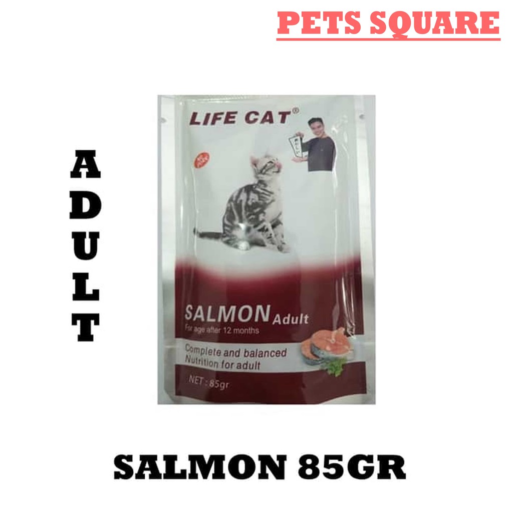 LIFE CAT POUCH ADULT SALMON 85GR