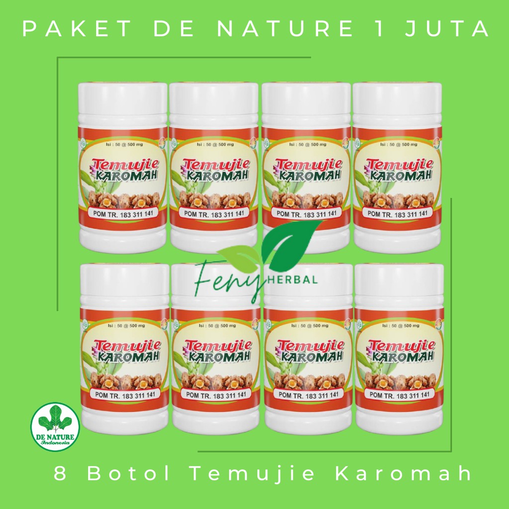 Paket Reseller | Paket Usaha Obat Herbal | Paket De Nature 1 Juta | 8 Botol Temujie Karomah Original