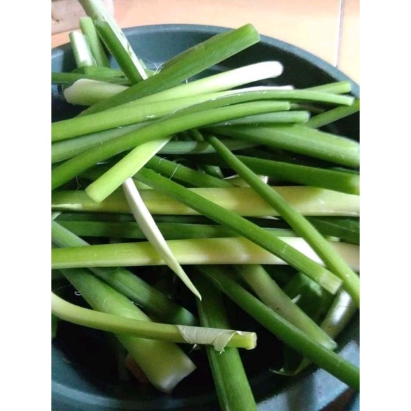 

sayur talas solempat segar 1 kg