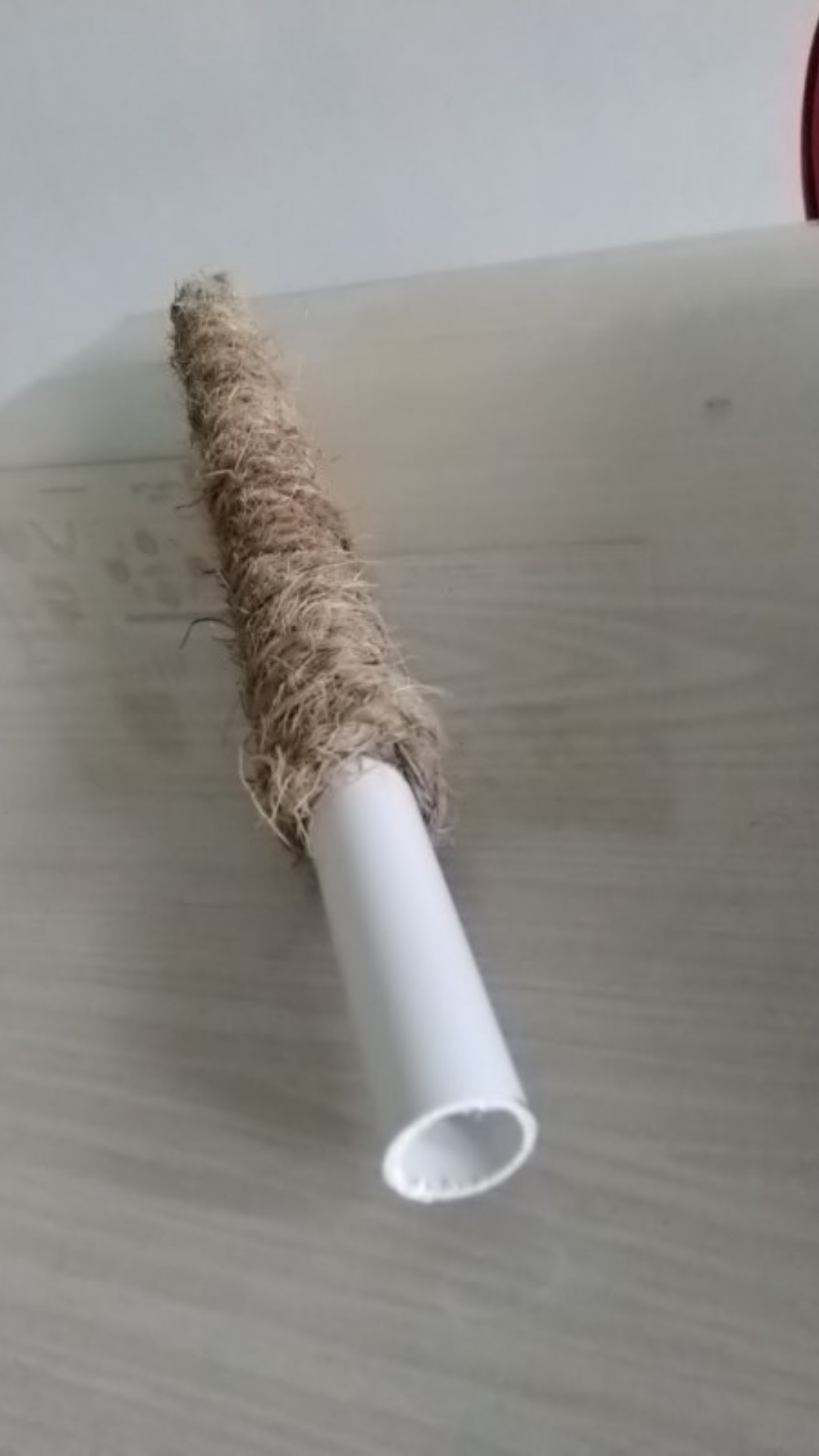 Stik Penyangga Janda Bolong Aglonema Phillodendron Pipa Lilit Tali Sabut Kelapa By Oesaka