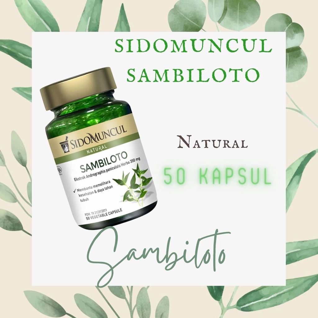 Sambiloto Sidomuncul 50 kapsul