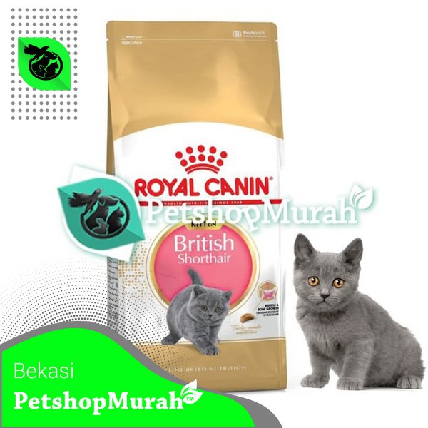 Royal Canin British Shorthair Kitten 2Kg