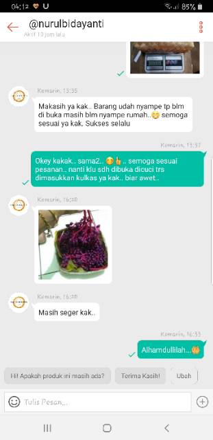 Promo Murah Parijoto ½ Kg (500 Gr) dan 1 Kg (1000Gr) Fresh FREE TESTPACK Asli Muria