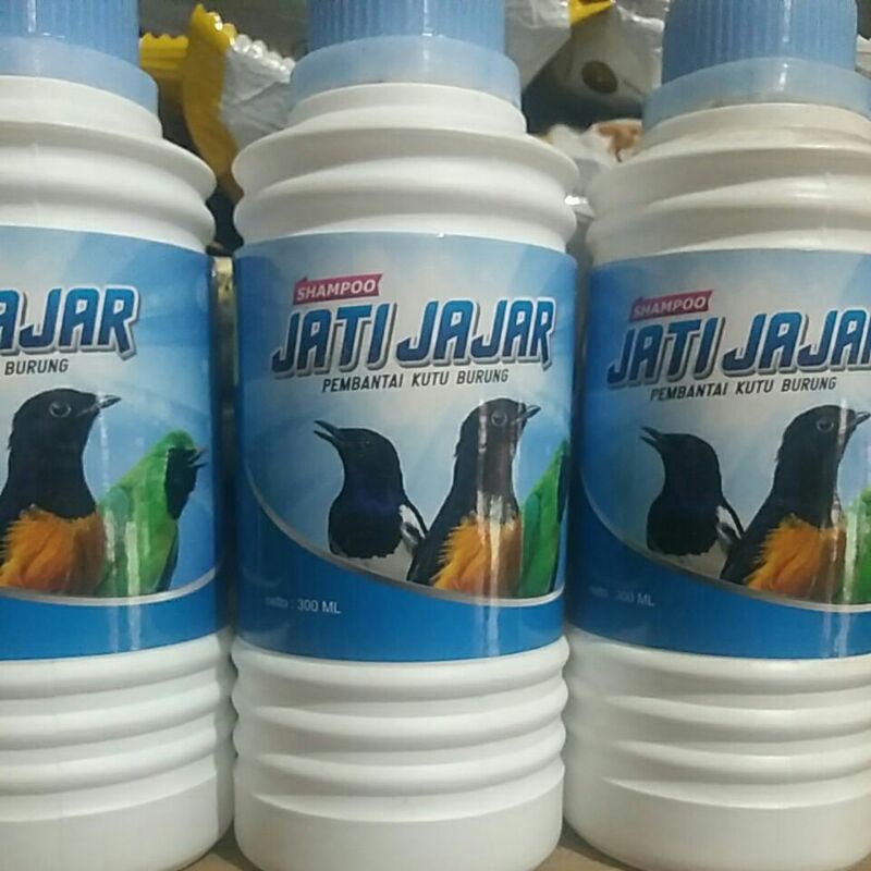 jati jajar sampo burung