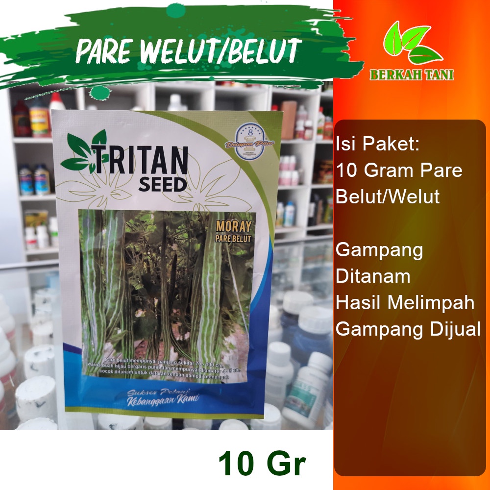 Benih Bibit Pare Belut Pare Welut Moray 10 Gram