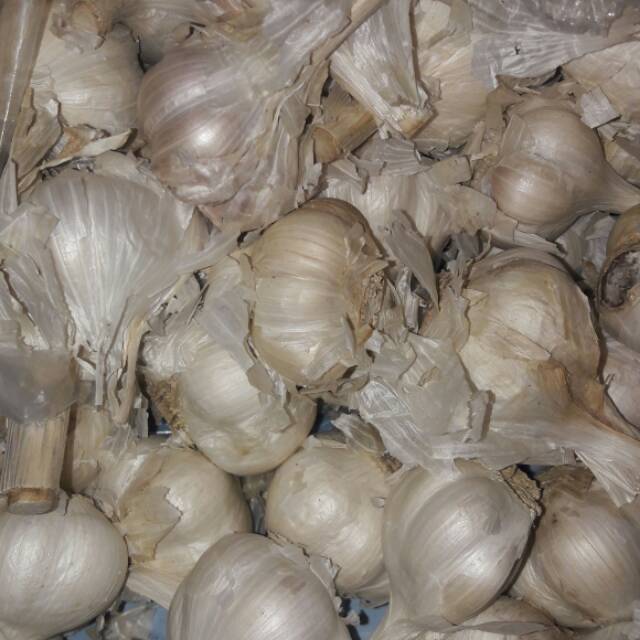 

BAWANG PUTIH KATING KOTOR 1KG