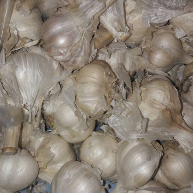 BAWANG PUTIH KATING KOTOR 1KG