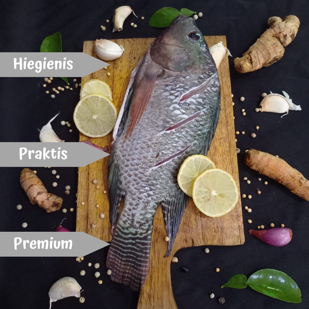 

Ikan Nila Hitam Segar Dan Sehat Rekomended (Ready To Cook)