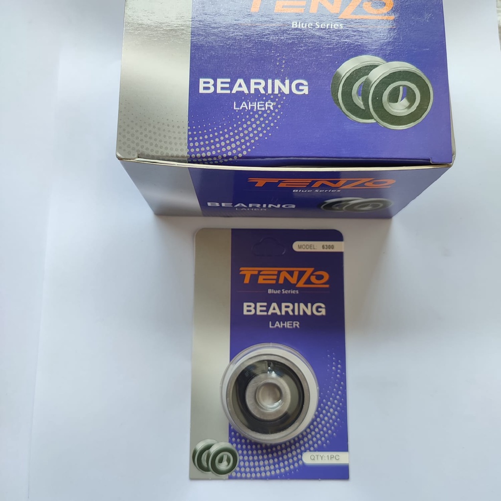 BEARING 6300