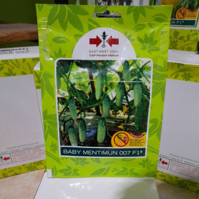 Benih timun Baby 007 F1 isi 175 butir