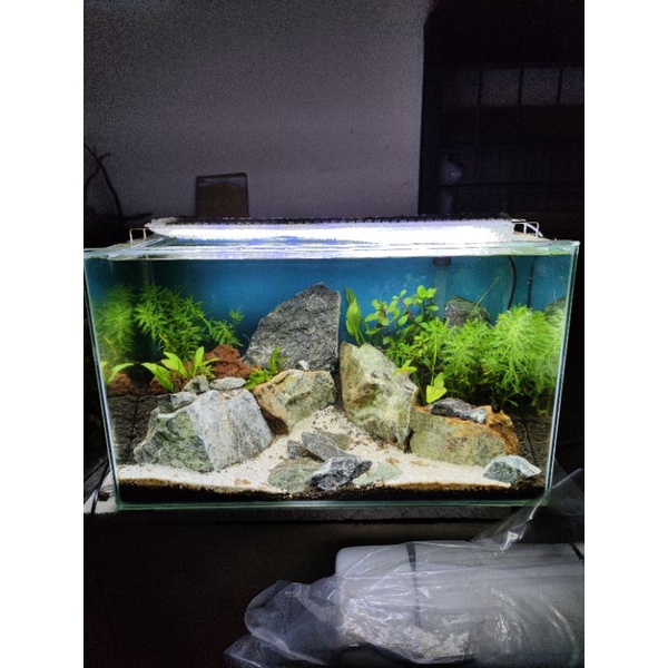 Aquarium Full Set Aquascape 60U