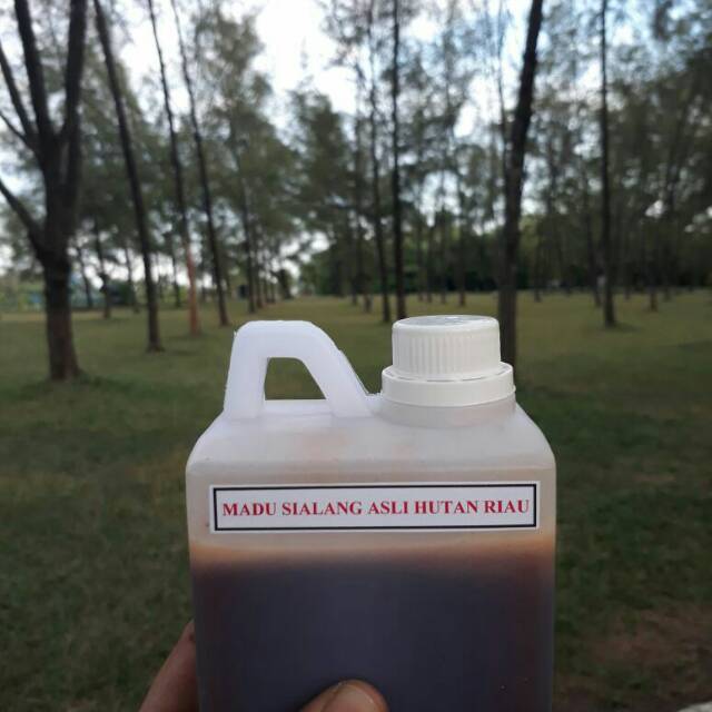 

Madu Sialang Ucii