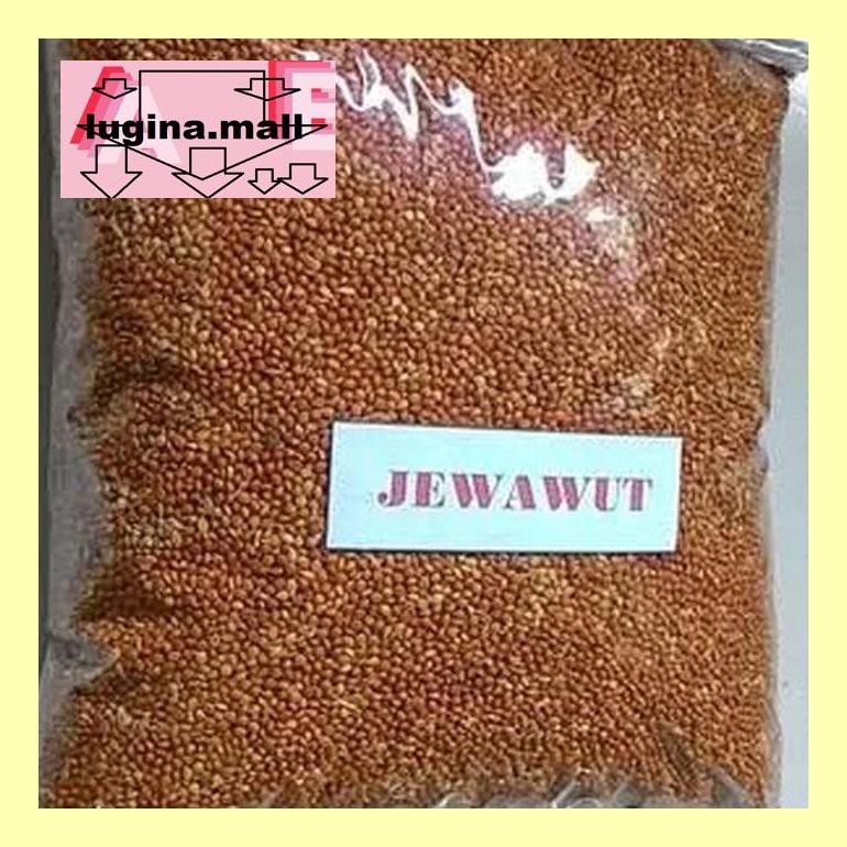 

Koptlopoc Biji Jawawut / Otek / Jewawut 1 Kg S53Mod5Sc