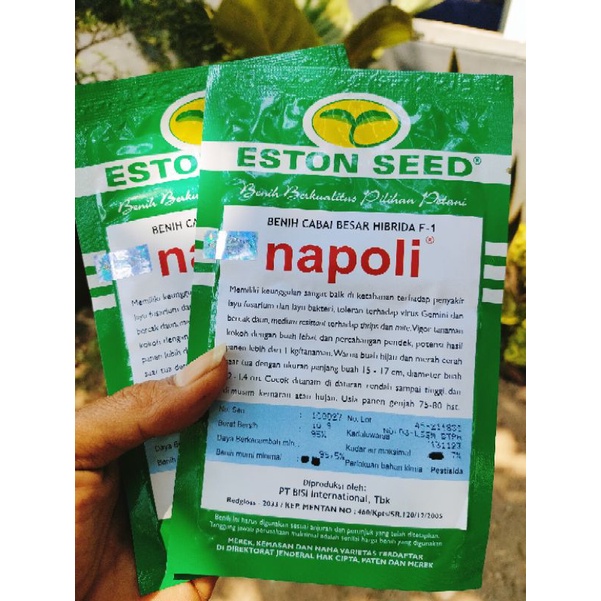 Cabe Besar Napoli F1 10gr Tahan Virus Original Pabrik Eston Seed