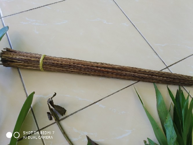 Sapu Lidi Aren Asli Kualitas Super