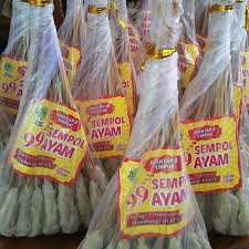 

Aisyah 99 Sempol Ayam Tusuk Hot 30S
