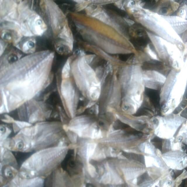 

Ikanasintawar