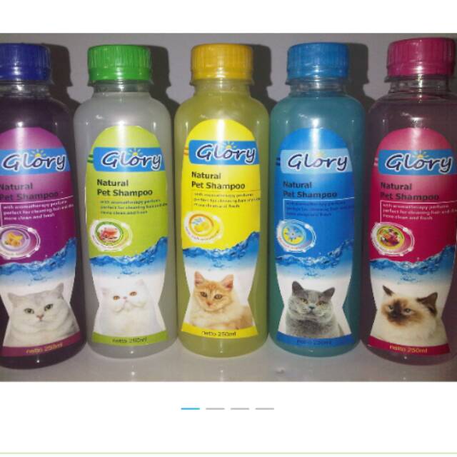 Shampoo glory 250ml 1 pack isi 12 botol