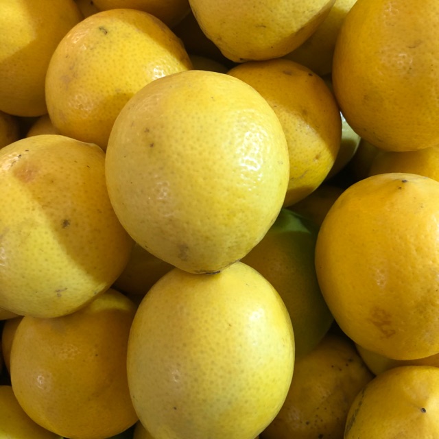 Lemon california 1kg