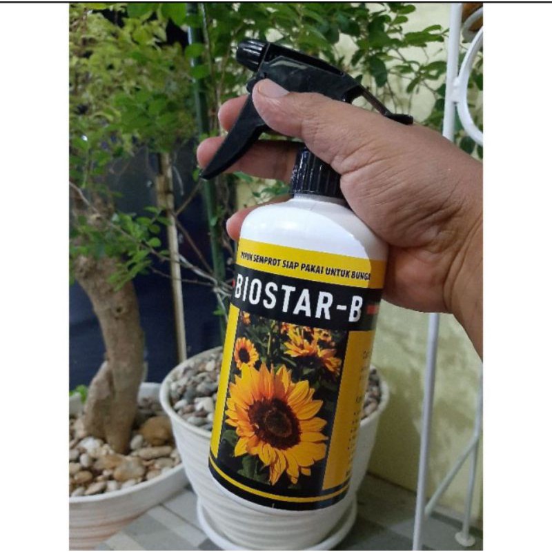 Pupuk BIOSTAR-B 500ML Pupuk Bunga Buah Semprot Siap Pakai Praktis dan Efisien