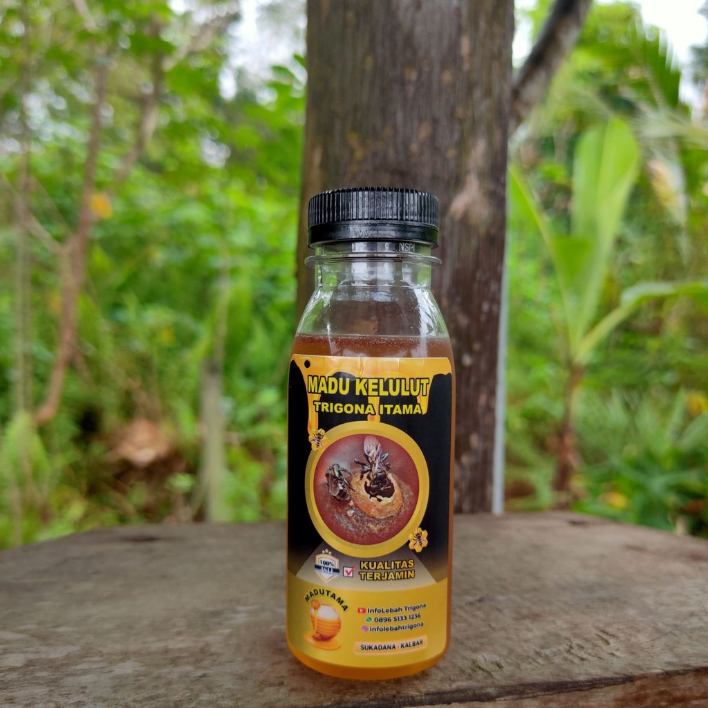 

Madu kelulut, klanceng, trigona itama, teuweul, Isi Botol 100 ML asli dan murni