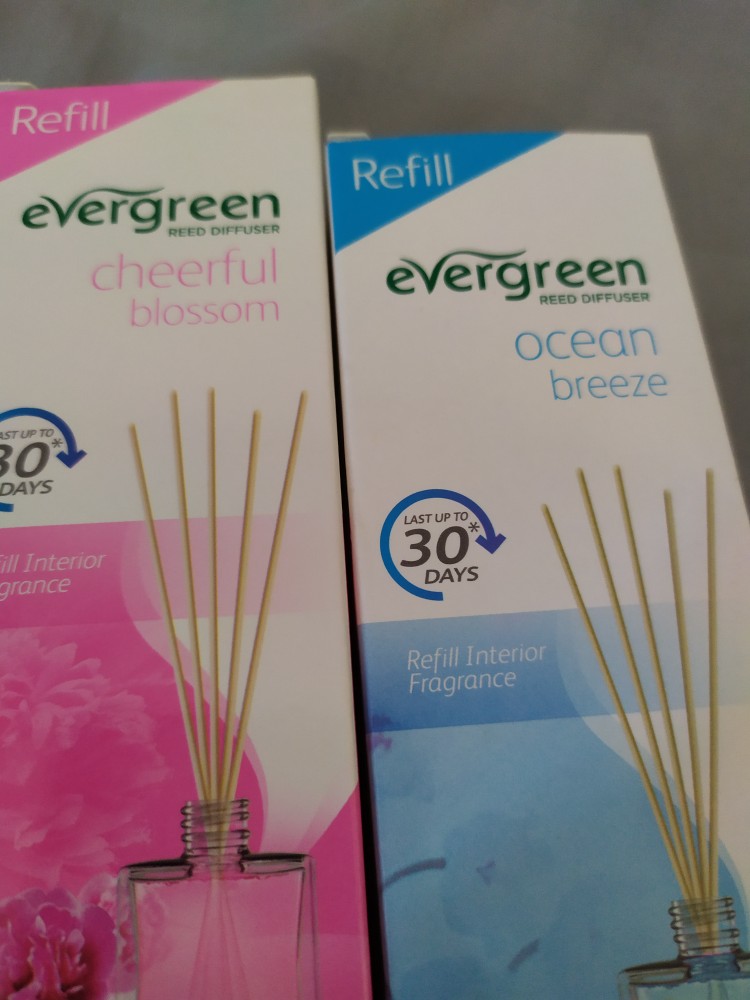 Evergreen / Reed Diffuser / 30ml / Set / Refill / Pengharum Ruangan / Aroma Bunga
