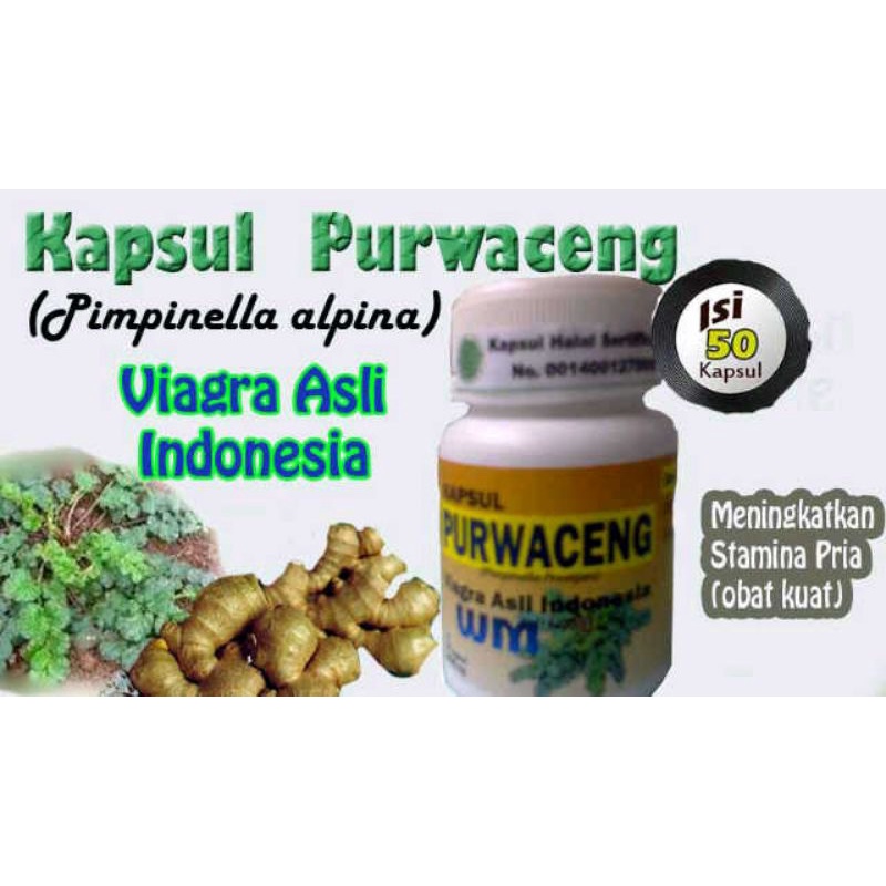 PURWACENG Kapsul Herbal Pembangkit Libido Penyubur Sperma Pria Wanita
