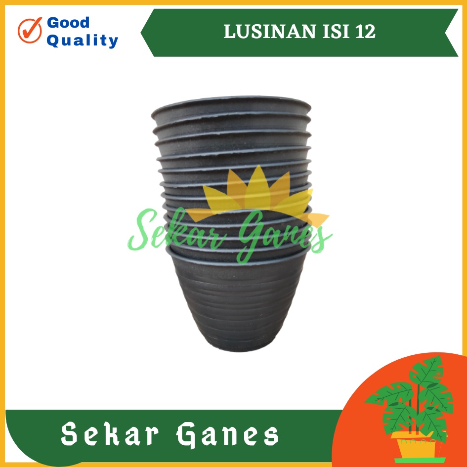 LUSINAN Pot Tawon 10 Hitam Pot Kecil Kaktus Gantung Hiasan Hidroponik Murah Pot Mini Minimalis Plastik Lucu 7 Cm Grosir - Lusinan Isi 12