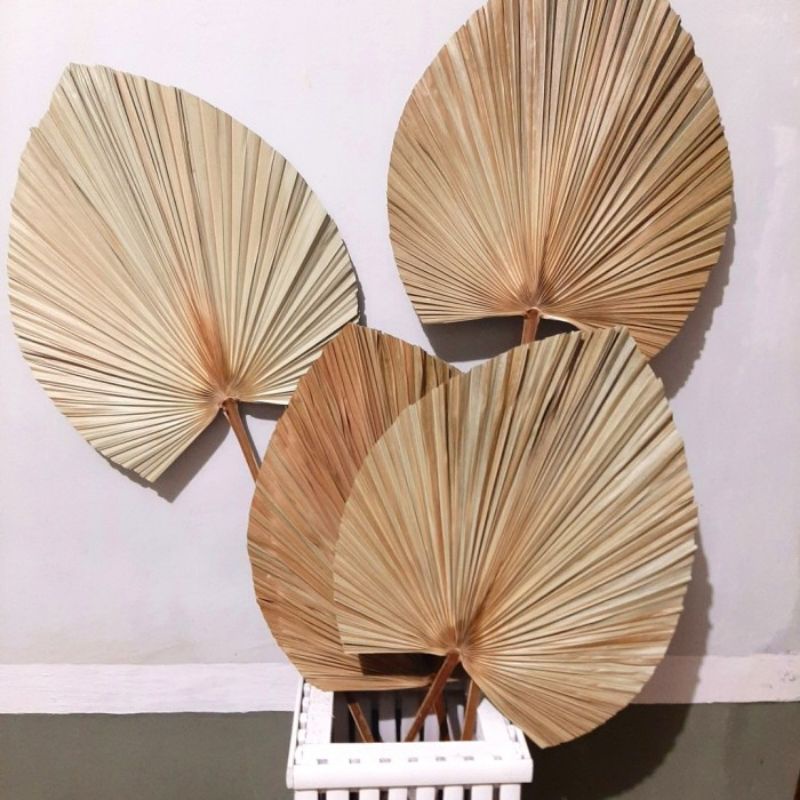 Daun rustic/daun palem kering/daun hias dekorasi rustic
