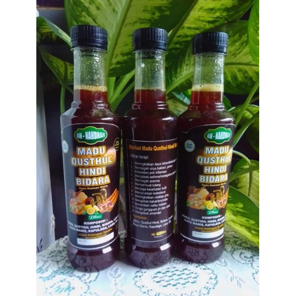 

Madu Qushul Hindi Bidara