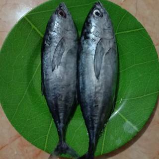 

ikan bandeng 500gr