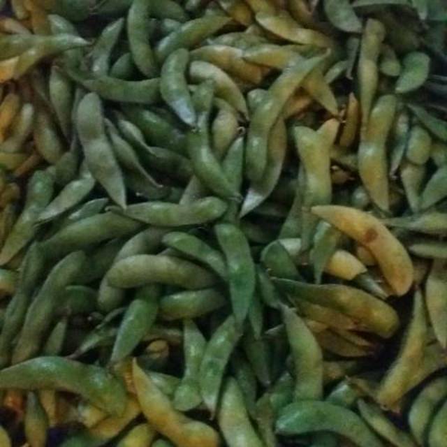 

edamame/kedelai jepang(1kg) termurah