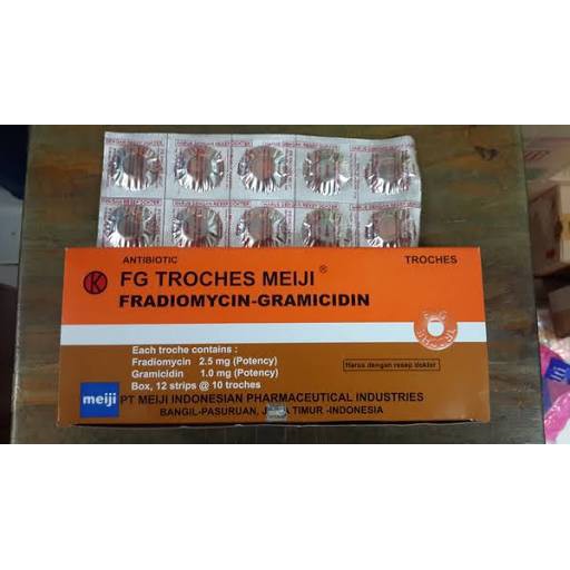 Fg Troches Obat Tablet Hisap Sakit Tenggorokan Shopee Indonesia