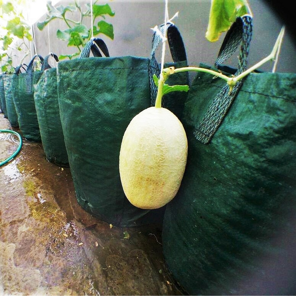 Planter Bag 45 Liter Tambulampot Polybag Ukuran Besar Pot Tanaman Buah