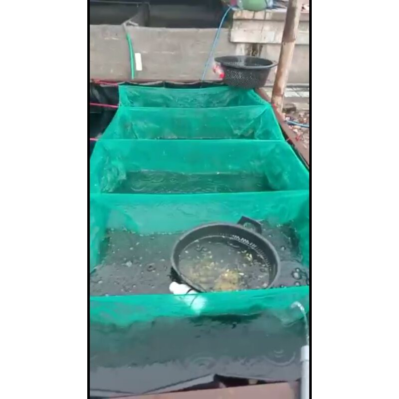 Keramba Ikan Kerambah ikan karamba ikan buat Sortir Ikan Sekat 4 Kamar