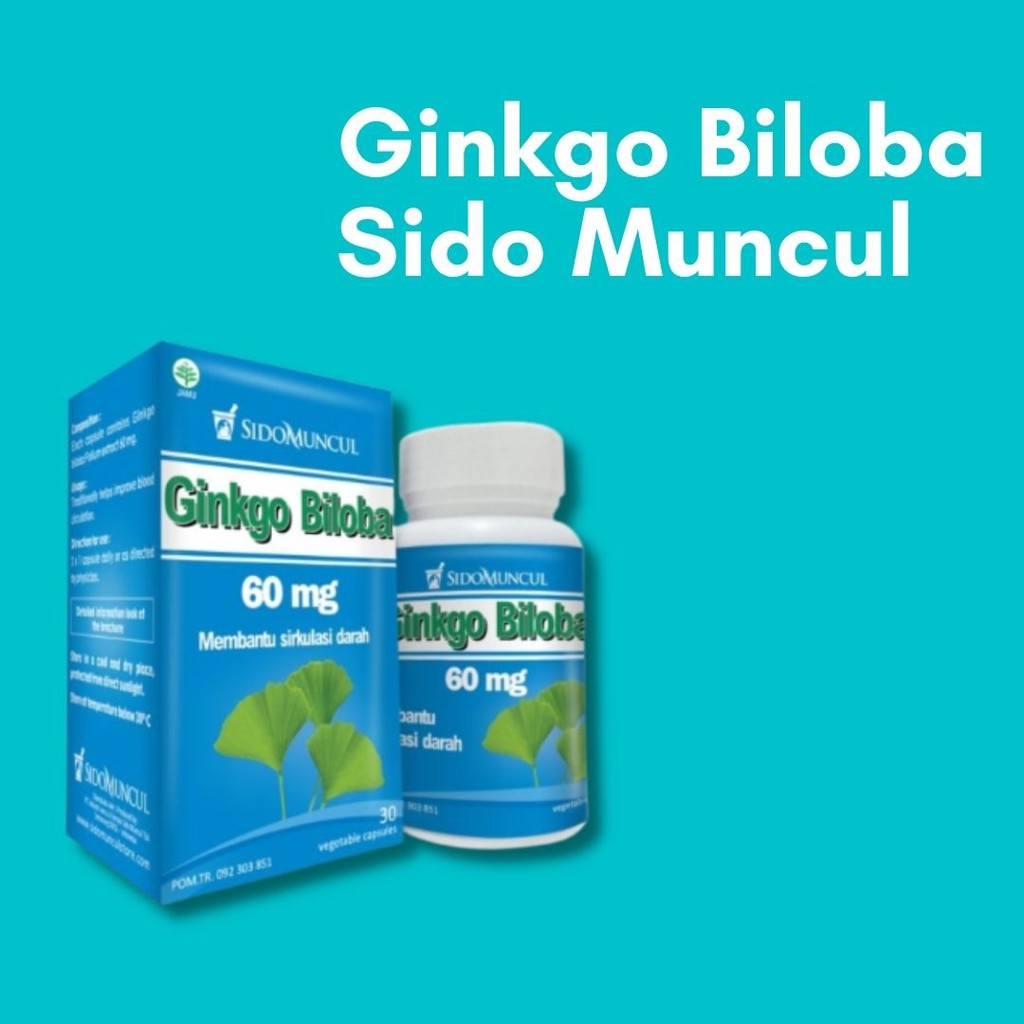 Sidomuncul Sari Ginkgo biloba