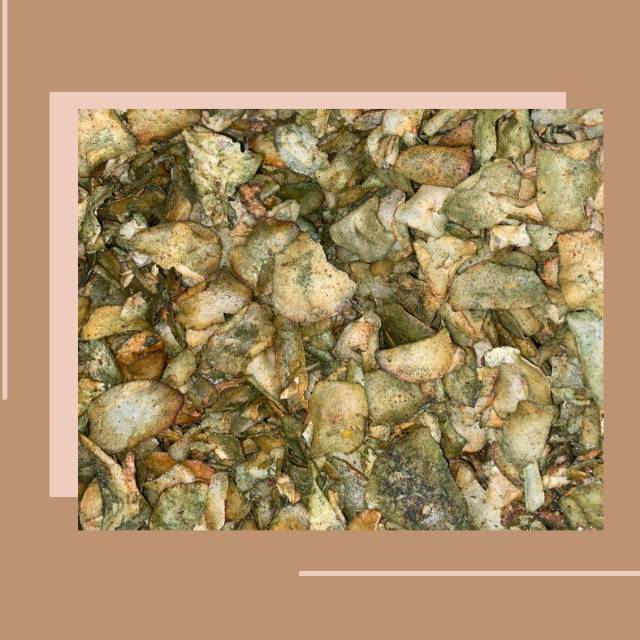 

KERIPIK SINGKONG CABE HIJAU