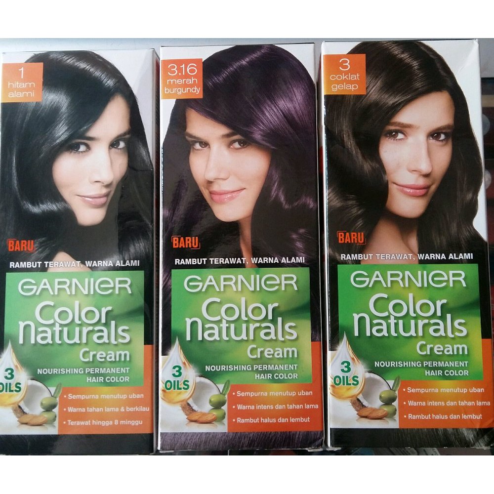 Macam Warna  Semir  Rambut  Garnier  Bali Home Spa Info