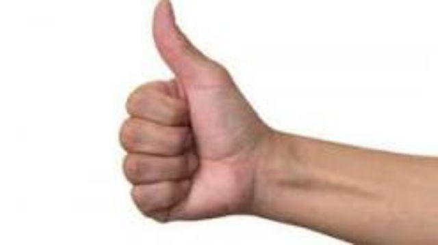 Bima Panci Serbaguna 26 Cm Prima / Steamer Stainless