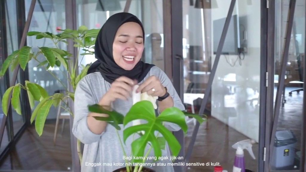 Toko Online Nanem Taneman Official Shop Shopee Indonesia