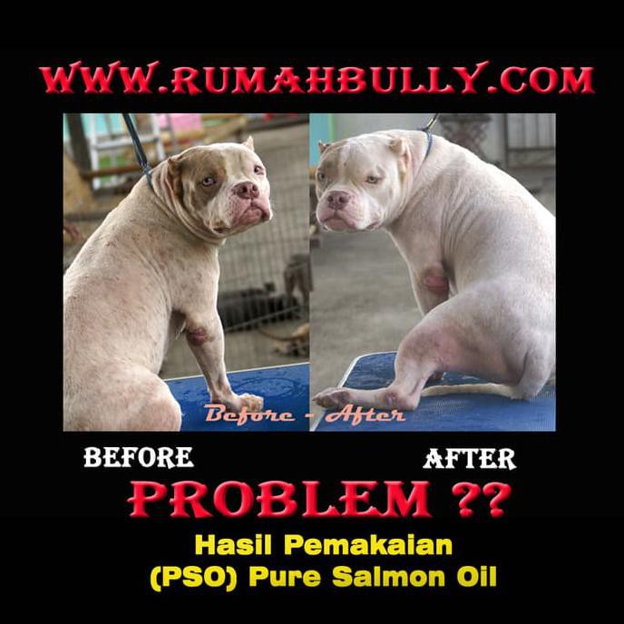 

Pure Salmon Oil 518ml