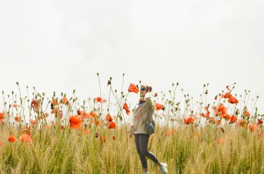 Mangkok Masker Bentuk Daun (mangkok Saja) Random