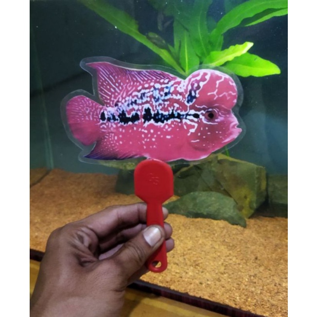 wayang louhan (untulan)