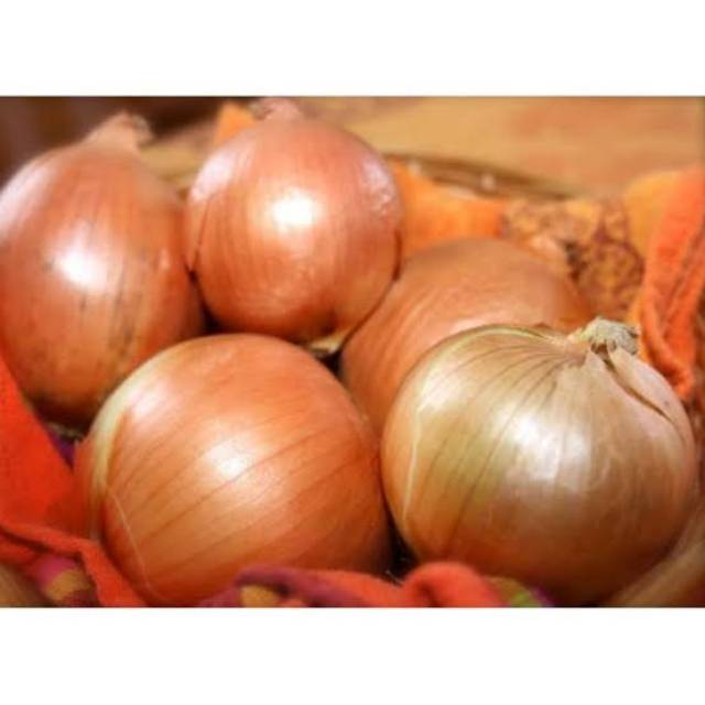

BAWANG BOMBAY 500 GRAM
