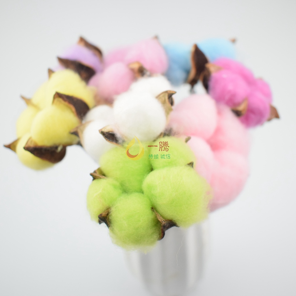 TOPPRICE Bunga Kapas Cotton Flower Single Stem Dekorasi Hiasan Bunga Kering Bunga Palsu KB15