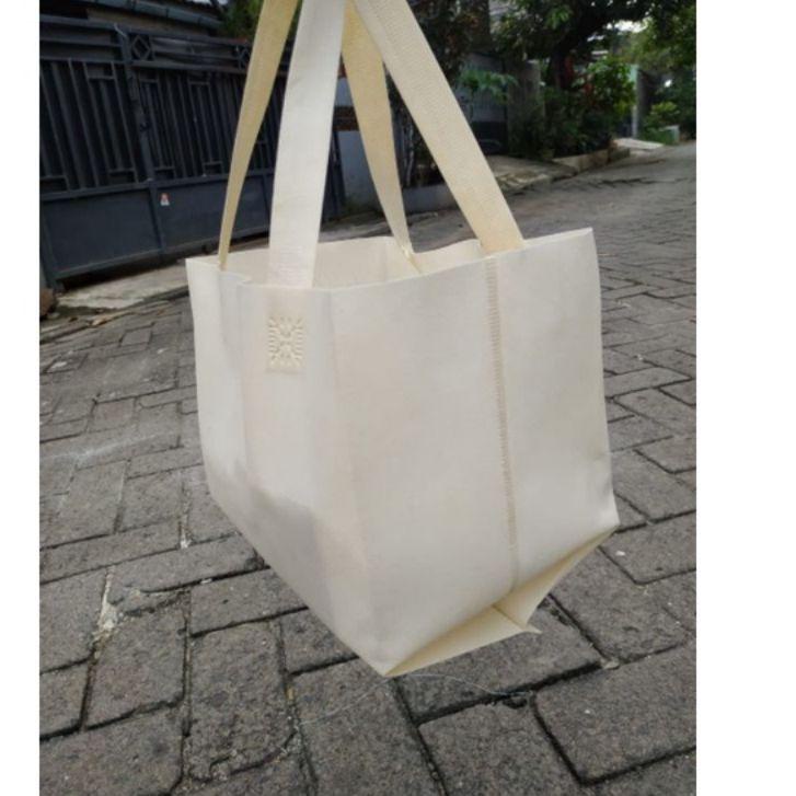 

Tas Spunbond Lipat Samping Box Hajatan 22x22 isi12pcs 시